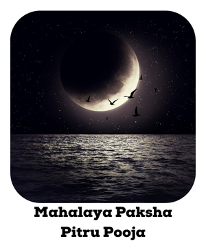 Mahalaya Paksha Pitru Pooja
